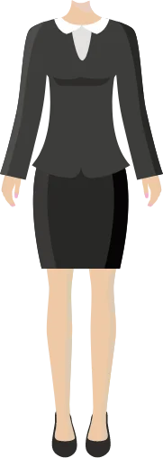 developer